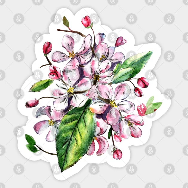 Apple Blossom Flowers Watercolor Painting Sticker by Ratna Arts